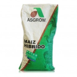 Maiz Asgrow 7573 W 50mil...