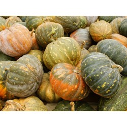 Semillas de Calabaza de...