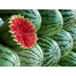 Semillas de Sandia Jubilee