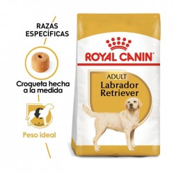 ROYAL CANIN - Labrador...